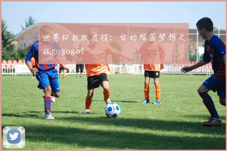 世界杯狂欢启程:你的绿茵梦想之旅gogogo!