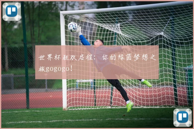 世界杯狂欢启程:你的绿茵梦想之旅gogogo!