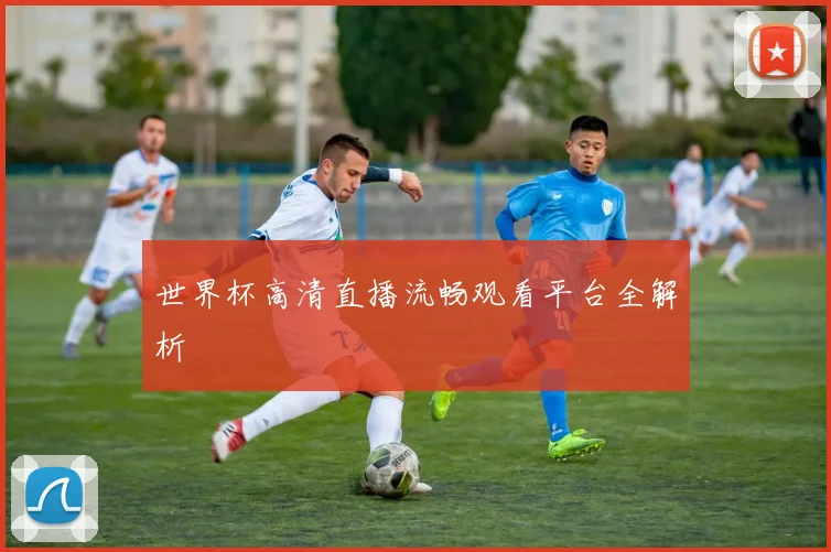 世界杯高清直播流畅观看平台全解析