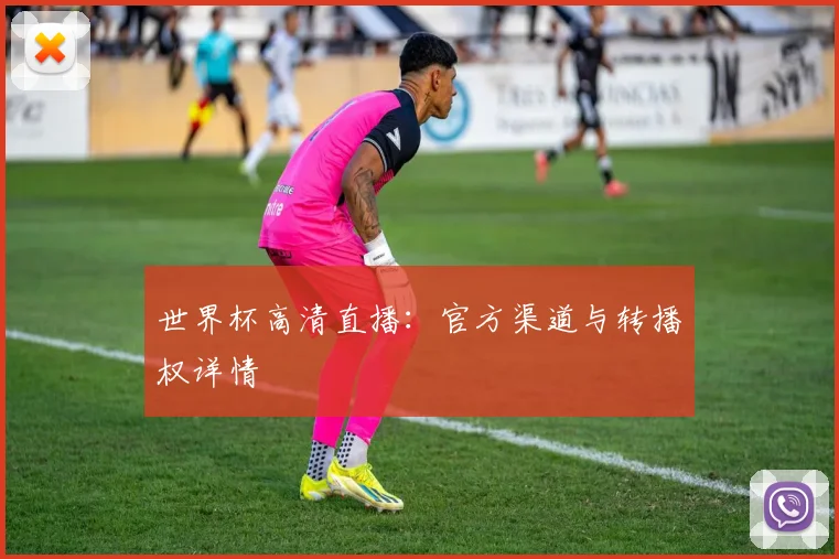 世界杯高清直播:官方渠道与转播权详情