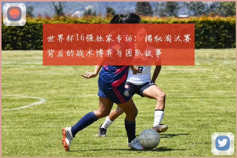 世界杯16强独家专访：揭秘淘汰赛背后的战术博弈与团队故事