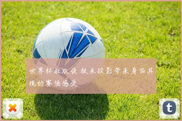 世界杯狂欢夜 极米投影带来身临其境的赛场感受